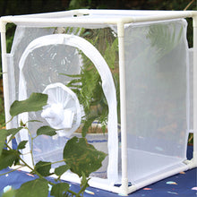 Load image into Gallery viewer, Butterfly Cage Insect Habitat Popup Collapsible Butterfly Mesh Cage Plant Greenhouse Box Insects Incubator Breeding Zipper Plant Animal Tent for Outdoor
