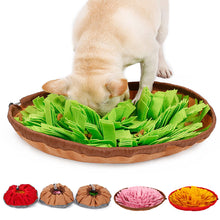 Load image into Gallery viewer, 48x48cm Dog Snuffle Mat Pet Leak Food Anti Choking Cat Dog Training Blanket Nose Work Toy Pet Slowing Feeding IQ Training Sniffing Mat
