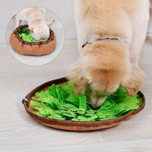 Load image into Gallery viewer, 48x48cm Dog Snuffle Mat Pet Leak Food Anti Choking Cat Dog Training Blanket Nose Work Toy Pet Slowing Feeding IQ Training Sniffing Mat
