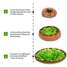 Load image into Gallery viewer, 48x48cm Dog Snuffle Mat Pet Leak Food Anti Choking Cat Dog Training Blanket Nose Work Toy Pet Slowing Feeding IQ Training Sniffing Mat

