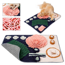Load image into Gallery viewer, Pet Snuffle Mat Pet Slow Feeder Dispenser Treats Pad Mat IQ Training Sniffing Mat Anti Choking Cat Dog Training Blanket Nose Work Toy
