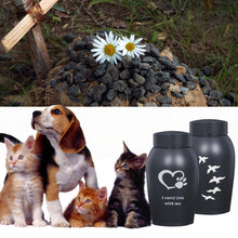 Load image into Gallery viewer, Stainless steel Urns Pets Dog Cat Birds Mouse Cremation Ashes Urn Keepsake Casket Columbarium Pets Memorials

