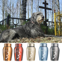 Load image into Gallery viewer, Golden/Red/Blue/Grey Stainless steel Urns Pets Dog Cat Birds Mouse Cremation Ashes Urn Keepsake Casket Columbarium Pets Memorials

