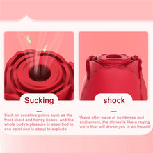 Load image into Gallery viewer, Rose Sucking Vibrators Nipple Sucker Clitoris Stimulation Powerful Vibrators Creative Sex Toys for Women Rose Vibator Sex Toy
