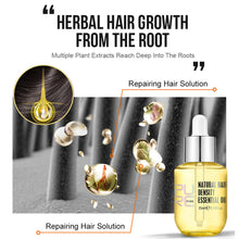 Load image into Gallery viewer, Ginger Essence Hair Growth Essential Oil Fast Regrowth Oil Serum Hair Loss Medicine Enhancer Care Beauty Scalp Treatment
