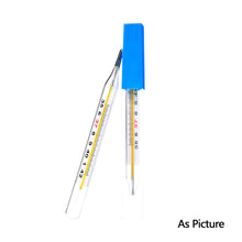 Load image into Gallery viewer, Body Temperature Measurement Thermometre Glass Mercury Thermometer Clinical Measurement Fever Temperature Meter
