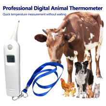 Load image into Gallery viewer, Professional Digital Animal Thermometer Pig Cow Sheep Thermometer Animals Electronic Thermometer Tools Veterinary Supplies
