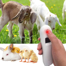 Load image into Gallery viewer, Professional Digital Animal Thermometer Pig Cow Sheep Thermometer Animals Electronic Thermometer Tools Veterinary Supplies
