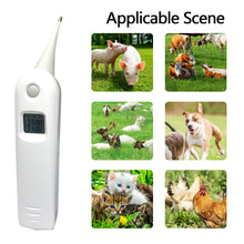 Load image into Gallery viewer, Professional Digital Animal Thermometer Pig Cow Sheep Thermometer Animals Electronic Thermometer Tools Veterinary Supplies
