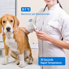 Load image into Gallery viewer, Digital Animal Thermometer Pet Dog Cat Thermometer Animals Electronic Thermometer Tools Veterinary Supplies

