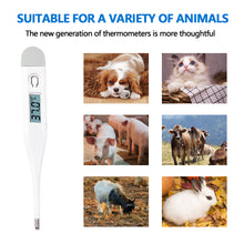 Load image into Gallery viewer, Digital Animal Thermometer Pet Dog Cat Thermometer Animals Electronic Thermometer Tools Veterinary Supplies
