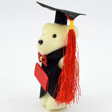 Load image into Gallery viewer, Doctor Bear Plush Toy Graduation Flower Bouquet Bear Doll Decoration DR. Bear Gifts
