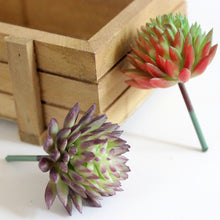 Load image into Gallery viewer, Lifelike Miniature Artificial Fleshy Cactus Plant Figurines Decoration DIY Fairy Garden Micro Landscape Potted Decor
