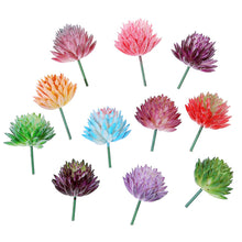Load image into Gallery viewer, Lifelike Miniature Artificial Fleshy Cactus Plant Figurines Decoration DIY Fairy Garden Micro Landscape Potted Decor
