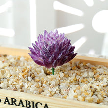 Load image into Gallery viewer, Lifelike Miniature Artificial Fleshy Cactus Plant Figurines Decoration DIY Fairy Garden Micro Landscape Potted Decor
