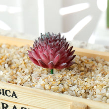 Load image into Gallery viewer, Lifelike Miniature Artificial Fleshy Cactus Plant Figurines Decoration DIY Fairy Garden Micro Landscape Potted Decor

