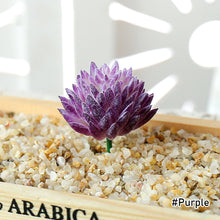 Load image into Gallery viewer, Lifelike Miniature Artificial Fleshy Cactus Plant Figurines Decoration DIY Fairy Garden Micro Landscape Potted Decor
