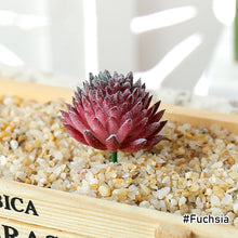 Load image into Gallery viewer, Lifelike Miniature Artificial Fleshy Cactus Plant Figurines Decoration DIY Fairy Garden Micro Landscape Potted Decor
