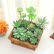 Load image into Gallery viewer, Lifelike Miniature Artificial Fleshy Cactus Plant Figurines Decoration DIY Fairy Garden Micro Landscape Potted Decor
