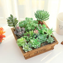 Load image into Gallery viewer, Lifelike Miniature Artificial Fleshy Cactus Plant Figurines Decoration DIY Fairy Garden Micro Landscape Potted Decor
