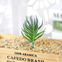 Load image into Gallery viewer, Lifelike Miniature Artificial Fleshy Cactus Plant Figurines Decoration DIY Fairy Garden Micro Landscape Potted Decor
