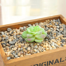 Load image into Gallery viewer, Lifelike Miniature Artificial Fleshy Cactus Plant Figurines Decoration DIY Fairy Garden Micro Landscape Potted Decor
