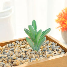 Load image into Gallery viewer, Lifelike Miniature Artificial Fleshy Cactus Plant Figurines Decoration DIY Fairy Garden Micro Landscape Potted Decor
