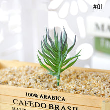 Load image into Gallery viewer, Lifelike Miniature Artificial Fleshy Cactus Plant Figurines Decoration DIY Fairy Garden Micro Landscape Potted Decor
