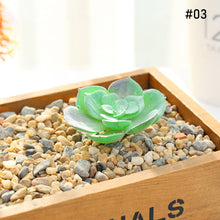 Load image into Gallery viewer, Lifelike Miniature Artificial Fleshy Cactus Plant Figurines Decoration DIY Fairy Garden Micro Landscape Potted Decor
