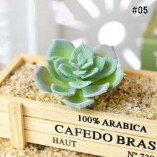 Load image into Gallery viewer, Lifelike Miniature Artificial Fleshy Cactus Plant Figurines Decoration DIY Fairy Garden Micro Landscape Potted Decor
