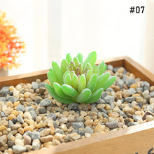 Load image into Gallery viewer, Lifelike Miniature Artificial Fleshy Cactus Plant Figurines Decoration DIY Fairy Garden Micro Landscape Potted Decor
