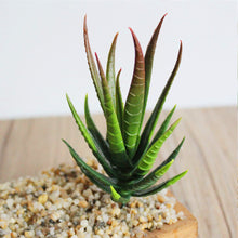 Load image into Gallery viewer, Lifelike Miniature Artificial Zebra Aloe Fleshy Cactus Plant Figurines Decoration DIY Fairy Garden Micro Landscape Potted Decor

