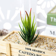 Load image into Gallery viewer, Lifelike Miniature Artificial Zebra Aloe Fleshy Cactus Plant Figurines Decoration DIY Fairy Garden Micro Landscape Potted Decor
