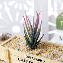 Load image into Gallery viewer, Lifelike Miniature Artificial Zebra Aloe Fleshy Cactus Plant Figurines Decoration DIY Fairy Garden Micro Landscape Potted Decor
