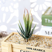 Load image into Gallery viewer, Lifelike Miniature Artificial Zebra Aloe Fleshy Cactus Plant Figurines Decoration DIY Fairy Garden Micro Landscape Potted Decor
