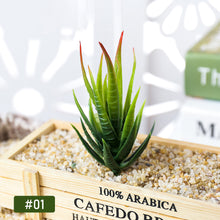 Load image into Gallery viewer, Lifelike Miniature Artificial Zebra Aloe Fleshy Cactus Plant Figurines Decoration DIY Fairy Garden Micro Landscape Potted Decor
