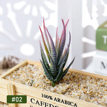 Load image into Gallery viewer, Lifelike Miniature Artificial Zebra Aloe Fleshy Cactus Plant Figurines Decoration DIY Fairy Garden Micro Landscape Potted Decor
