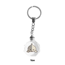 Load image into Gallery viewer, BTS BT21 Key Ring Led Light Keychain Bag Pendant Cute Accessory Decorations
