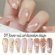 Load image into Gallery viewer, 6 Grids/box Steel Ball White Flower Pearl Mixed Nail Art Jewelry Nail Decoration Nail Art DIY Nail Accessories
