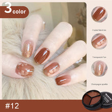 Load image into Gallery viewer, Solid Nail Polish Three-color Suit Solid Cream Painted Glue Popular Colors Manicure Tools Nail Art Accessories
