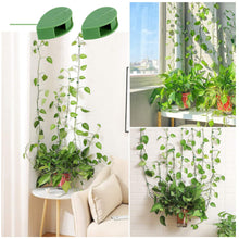 Load image into Gallery viewer, 10PCS Plant Climbing Wall Fixture Clips Self-Adhesive Invisible Vines Hook Support Rattan Vine Bracket Fixed Buckle Garden Wall Fixer Wire Fixing Snap
