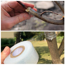 Load image into Gallery viewer, 100M/Roll Nursery Grafting Tape Roll Stretchable Self-adhesive Degradable White Grafting Tape Plant Tie Tape Grafting Film Band
