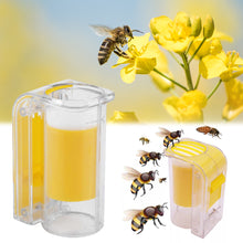 Load image into Gallery viewer, 1PC Bee Queen Marker Bottle Bee Mark Cage Plastic One Handed Marking Catcher With Plunger Plush Garden Beekeeping Supplies
