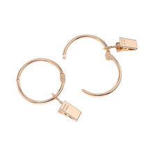 Load image into Gallery viewer, 5PCS/Set Openable Window Curtain Ring Hook with Clips Detachable Strong Iron Shower Curtain Alligator Clips with Rock Ring Tapestry Anti Slip Crocodile Clips
