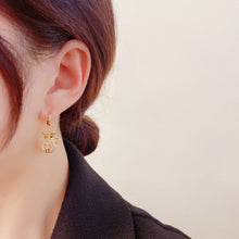 Load image into Gallery viewer, Women Lucky Bag Rhinestone Earrings Elegance Pendant Earring Jewelry Gift

