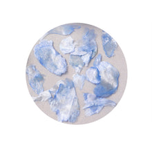 Load image into Gallery viewer, 1 Box Natural Shell Mica Nail Art Jewelry Symphony Nail Stickers Nail Art Accessories Manicure Decorations

