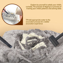 Load image into Gallery viewer, Dinosaur Fossil Excavation Kits Education Archeology Exquisite Jurassic Toy Set Game Action Children Figure Skeleton Model Gift
