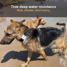 Load image into Gallery viewer, Pet GPS Waterproof Locator Bluetooth Wireless Cat and Dog Tracker Animal Finder Manufacturer Supply
