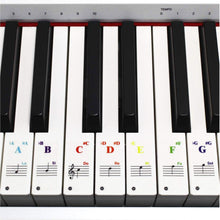 Load image into Gallery viewer, 49 / 61/ 76 / 88 Key Colorful Transparent Removable Piano Stickers Keyboards Detachable Music Decal Notes for Hand Roll Piano Eelectric Piano
