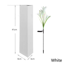 Load image into Gallery viewer, Lily Flowers Solar Light LED Fireworks Lamp Solar Powered Waterproof Outdoor Garden Light Lawn Automatic Lamp

